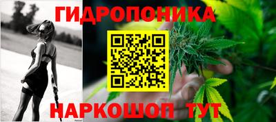a pvp Тулун